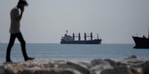 Все карты в зерновой сделке на руках у Путина, и от Запада мало что зависит