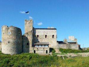 Эстония приняла решение стать первой страной Европейского Союза, которая в этом году узаконит конфискацию российских активов.