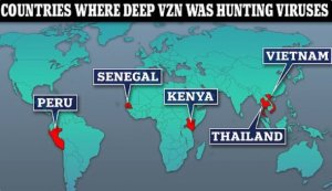 Без шума и DEEP VZN: Штаты резко свернули крупный проект по изучению новых вирусов