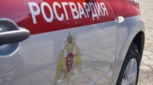 В Набережных Челнах задержали семейную пару, дозреваемую в краже из гипермаркета