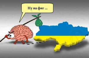 Bloomberg: Киев требует от Варшавы и Будапешта разрешить ввоз зерна до пятницы