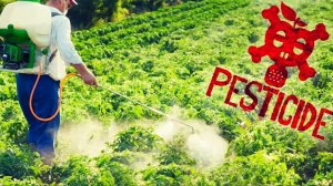 В Польше «неожиданно» обнаружили в зерне с Украины сальмонеллу, ртуть и свинец