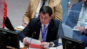 Полянский напомнил Блинкену, кто осуществлял расстрелы в Бабьем Яру
