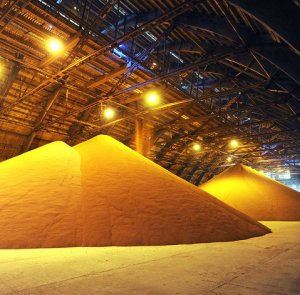 Россия в первом полугодии 2023 года продала на мировой рынок удобрений как минимум на 6,6 миллиарда долларов, а основными покупателями были Бразилия, Индия и США.