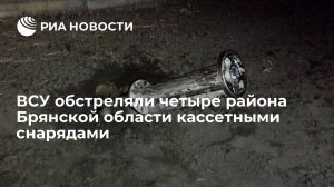 ВСУ обстреляли четыре района Брянской области кассетными снарядами из РСЗО