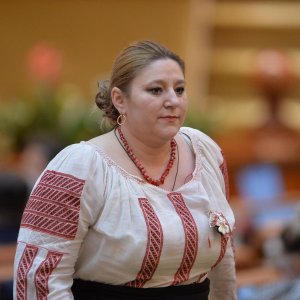 Сенатор Шошоакэ потребовала от Зеленского вернуть земли Румынии ("Будет плохо!" Румынский сенатор пообещала поймать Зеленского)