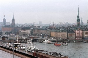 "Путин все отключит". В Швеции испугались отказа от наличных денег Экс-глава Интерпола Эрикссон: отказ Швеции от наличных угрожает безопасности