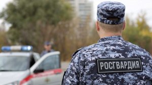 В Казани росгвардейцы совместно с полицейскими задержали мужчину, подозреваемого в грабеже