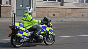 В Британии мужчина выпустил в кафе мышей, покрашенных в цвета флага Палестины