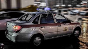 В Казани сотрудники Росгвардии задержали подозреваемого в грабеже