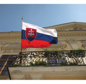 Новое правительство Словакии заблокировало пакет военной помощи Украине