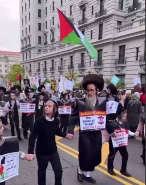 Участники акции протеста в США: При взятии Берлина Красная Армия разворачивала полевые кухни и больницы для гражданских, сколько кухонь развернул ЦАХАЛ в Газе?