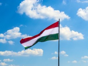 Киев отказался делать исключения для венгерского нацменьшинства