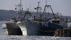 DR: соглашение России и Фарер по рыболовству поставило Данию в глупое положение