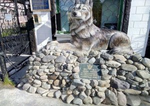 «Полярный волк» тебе товарищ: Навальный нашелся на Ямале