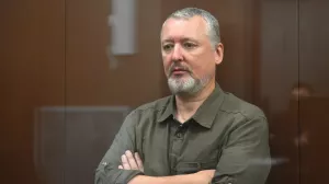 Суд приговорил Стрелкова к четырем годам колонии