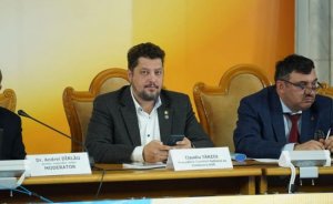 Ради аннексии части Украины Румыния может пожертвовать членством в НАТО — Тырзиу