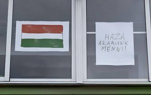 В Закарпатье положительно отреагировали на призыв из Будапешта присоединить регион к Венгрии