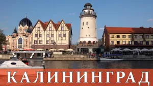 «Столица ЕС будет в Калининграде. НАТО возглавят русские»: Надеждин объявил Кремлю ультиматум