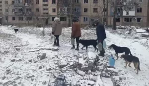 «В дверь постучали, открываю – свои»: жители Авдеевки рассказывают об освобождении города