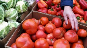 Путин: сельхозпродукцию из РФ поставляют в 150 стран, несмотря на сложности