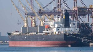 Хуситы подтвердили удар по судну США True Confidence в Аденском заливе