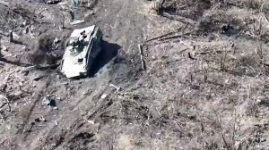 Военные ВС РФ эвакуировали с линии соприкосновения трофейную БМП Marder. «Это пока первый и единственный экземпляр такой машины, она полностью исправна и на ходу»