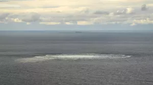 На Украине исчез предполагаемый координатор подрывов "Северных потоков"