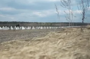Гнилые «зубы дракона». Ситуация в зоне СВО на утро 25 апреля