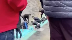 В Петербурге автобус с людьми упал в Мойку и полностью ушел под воду