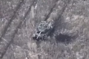 Кость без мяса. Германия отправила Киеву новый пакет помощи