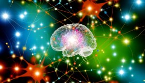 Мозг - суперкомпьютер! Новое исследование раскрывает секреты его невероятной мощности. Ученые выяснили, как работает память человека