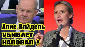 Глава германских правых высказалась за досрочные выборы в ФРГ. Алис Вайдель подчеркнула, что канцлер Германии Олаф Шольц должен начать перевыборы на фоне плохого результата в ходе голосования в ЕП