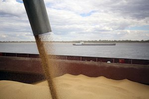 Рентабельность производителей пшеницы уходит в минус. Снижение котировок на зерно ухудшает перспективы российского экспорта