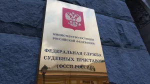 Связанные с украинским олигархом Черняком* компании перешли в доход России