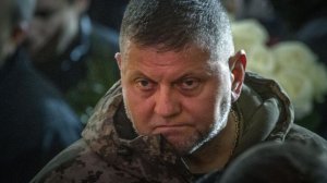 Залужный в первой речи в качестве посла призвал Запад отказаться от ряда свобод