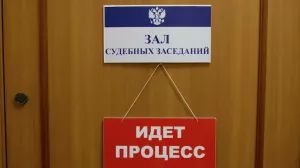 Обвиняемая в госизмене Карелина признала вину