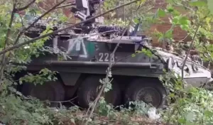 Количество уничтоженной техники противника в Курской области достигло 424 единиц