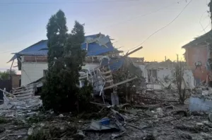 Нельзя звать русских свиньями? Запад не видит нацистов под Курском