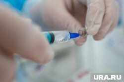 Глава Роспотребнадзора: России с традиционными ценностями оспа обезьян не грозит