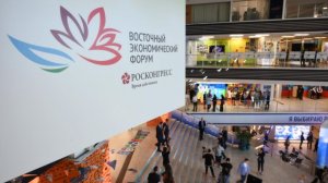 На ВЭФ объявили о создании Африканско-Российской торговой палаты