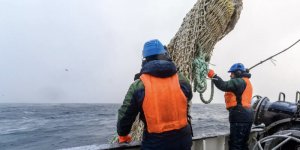 Росрыболовство: недружественные страны не получили ожидаемого эффекта от своих действий