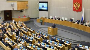 В Госдуме подготовили проект об отказе мигрантам в РВП за любые преступления