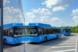 В Россию вернулись более ста военных, захваченных в плен в Курской области