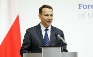 Классический жабогадюкинг: в СМИ утекли подробности ссоры между Сикорским и Зеленским