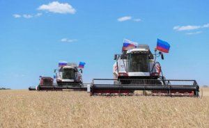 Что получила Россия «в закрома» после присоединения Крыма и четырех новых регионов?