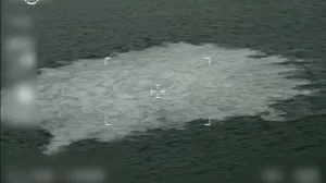 Новым странам могут предъявить досудебные претензии по "Северным потокам"