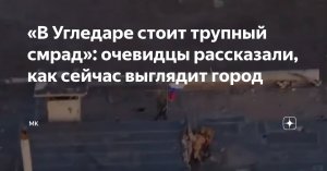 «В Угледаре стоит трупный смрад»: очевидцы рассказали, как сейчас выглядит город  (В подвалах нашли снайперов из Литвы и Эстонии)