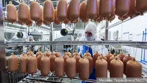 Как России удалось за 20 лет добиться выдающихся успехов в животноводстве