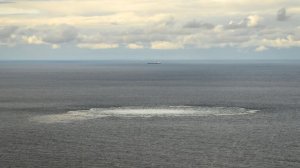 Россия располагает результатами расследования по "Севпотокам", заявил МИД